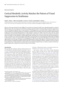 Cortical Metabolic Activity Matches the Pattern of Visual