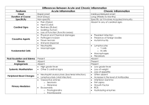 Differences Between Acute and Chronic Inflammation