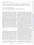 Differential Activity-Dependent Development of Corticospinal