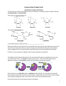 What effects do enzymes have on chemical reactions