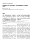 Bundle sheath cells and cell-specific plastid