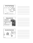 Vascular Plant Phylogeny Phylum Anthophyta Sporophyte