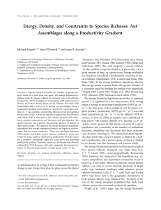 Energy, Density, and Constraints to Species Richness: Ant