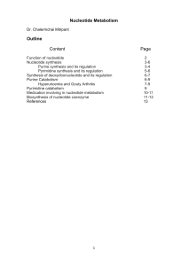 Black and White Nucleotide Metabolism english document for
