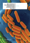 rna metabolism: how different bacteria reached the same