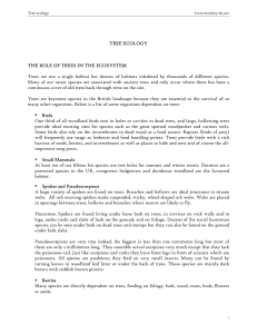 TREE ECOLOGY THE ROLE OF TREES IN THE ECOSYSTEM