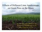 Effects of Different Lime Applications on Green Peas on the Blues