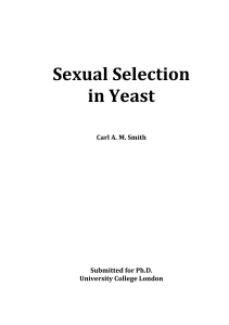 Sexual Selection in Yeast