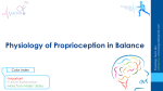 Physiology of Proprioception in Balance