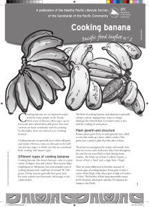 Cooking banana - Pacific Community