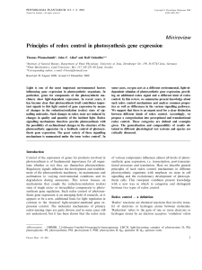 Principles of redox control in photosynthesis gene