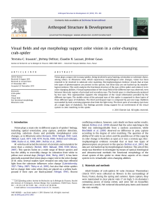 Visual fields and eye morphology support color vision in a color