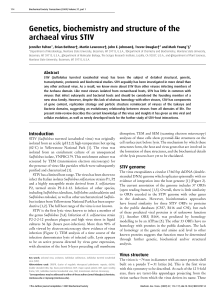 Genetics, biochemistry and structure of the archaeal virus STIV