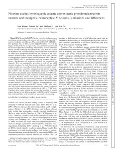 Nicotine excites hypothalamic arcuate anorexigenic