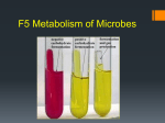 F5 Metabolism of Microbes - Mr Hartan`s Science Class