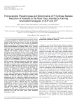 Polynucleotide Phosphorylase and Mitochondrial