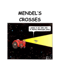 Mendel`s Crosses - biology-with
