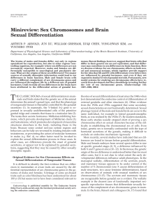 Minireview: Sex Chromosomes and Brain Sexual Differentiation