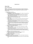 Integrated Science Chapter 13 Notes Section 1: Nutrients and Diet