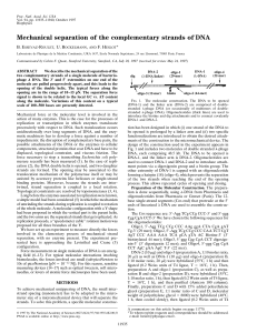 Mechanical separation of the complementary strands of DNA