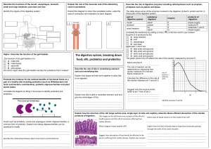 The digestive system - Greenacre Academy Trust