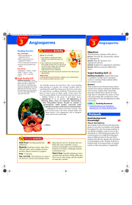 3 Angiosperms - ReadingtonScience