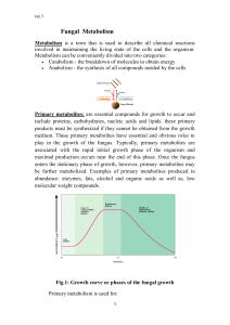 Fungal Metabolism