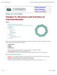 Chapter 5: Structure and function of macromolecules