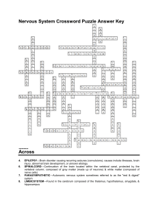Nervous System Crossword Puzzle Answer Key Across