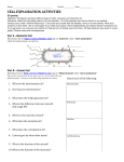 Cell Exploration Packet