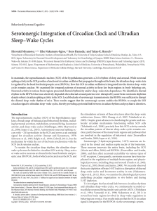 Serotonergic Integration of Circadian Clock and Ultradian Sleep