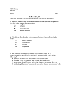 1. Which of the following carries nerve impulses from pressure