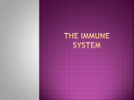Ch 40 Immune System ppt