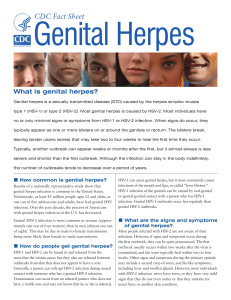 Genital Herpes Fact Sheet
