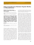 Select Acetophenones Modulate Flagellar Motility in Chlamydomonas