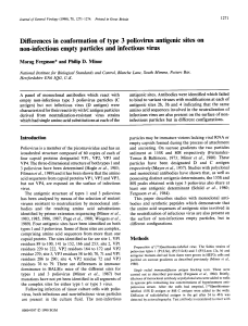 Differences in conformation of type 3 poliovirus antigenic sites on