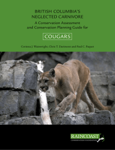 cougars - Raincoast Conservation Foundation