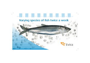 Varying species of fish twice a week