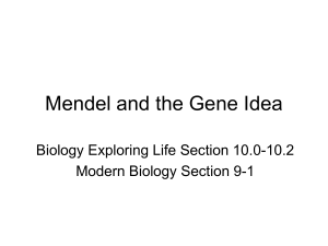 Mendel and the Gene Idea Lecture