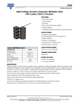RHK High Voltage Ceramic Capacitor Multiplier Sets with