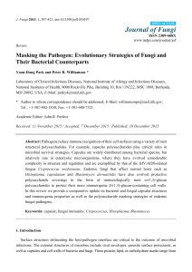 Masking the Pathogen: Evolutionary Strategies of Fungi and Their