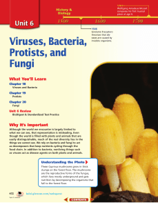 Viruses and Bacteria - Hartland High School