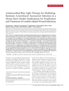 Antimicrobial Blue Light Therapy for Multidrug