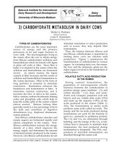 3) carbohydrate metabolism in dairy cows