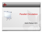 The Parallel Circulation2