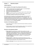 Chapter 11 Respiratory System