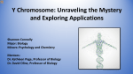 Y Chromosome: Unraveling the Mystery and Exploring