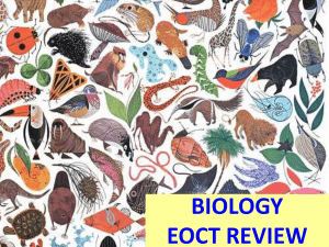 eoct review - TeacherWeb