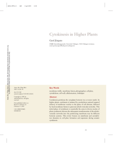 Cytokinesis in Higher Plants