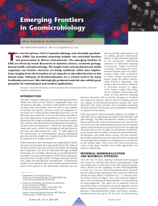 Emerging Frontiers in Geomicrobiology